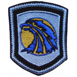 AIRSOFT Mercenaries Stalker patch with eagle 116