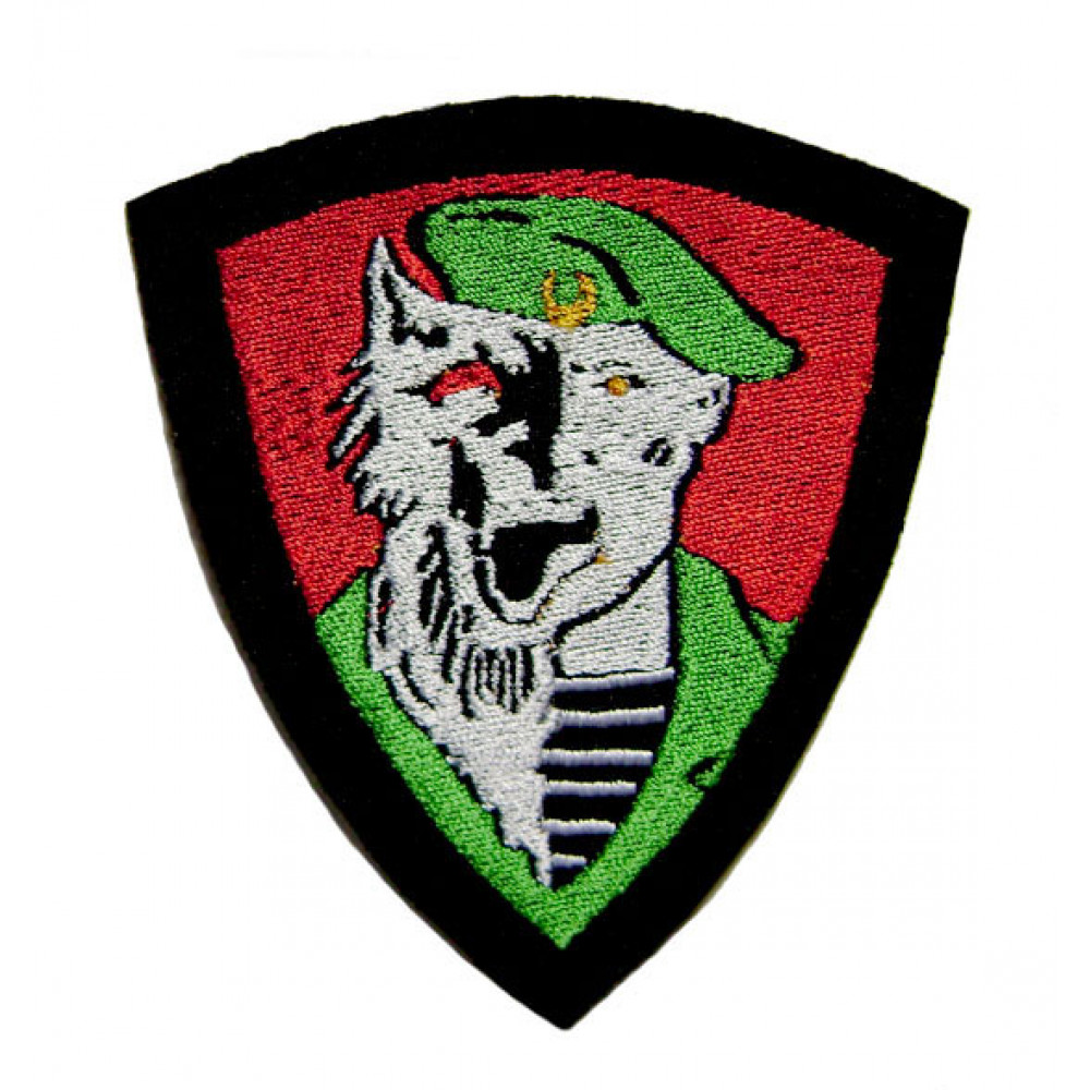 Frontier Guards of tactical special force sleeve airsoft patch