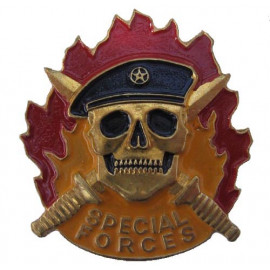 SPECIAL FORCES metal Badge  Black Beret SWAT